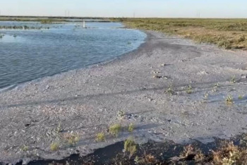 Фотография к новости: Жайық өзеніндегі су деңгейі төмендей бастады