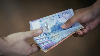 Фотография к новости: Мәжіліс қарыз алушыларға қатысты заңға Сенат енгізген түзетумен келісті