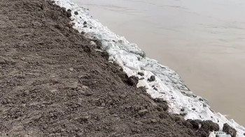 Фотография к новости: Жайық өзеніндегі су деңгейі өзгерді