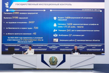 Фотография к новости: Кәсіпорындардың Цифрлық картасы жасалды