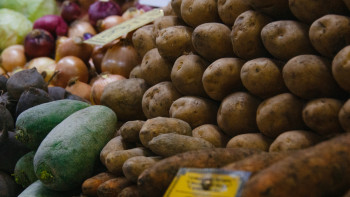 Фотография к новости: Картоп бағасы тұрақты бола ма