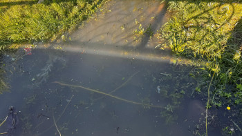 Фотография к новости: "Бөлінген миллиардтар мәселені шешпеген". Текелі тұрғындары лай су ішіп отыр