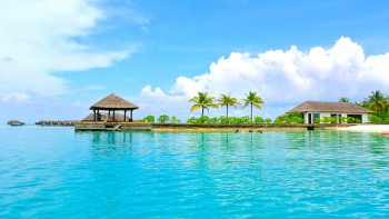 Фотография к новости: Мальдив аралдарында қауіпті дерт таралып жатыр