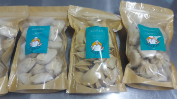 Фотография к новости: Ертіс өңірінде 140 бизнес-жоба қолдау тапты