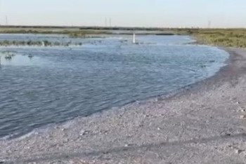 Фотография к новости: Жайық өзеніндегі су деңгейі қандай