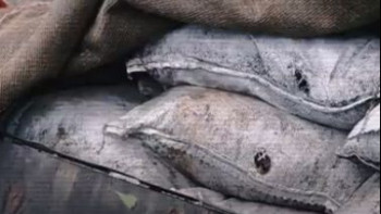 Фотография к новости: Алтын іздеушілердің қылмыстық тобы ұсталды