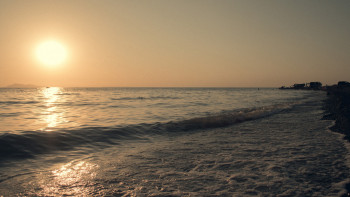 Фотография к новости: Су ресурстарын үнемді, ұтымды пайдалану керек – Президент