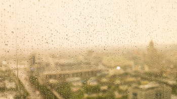 Фотография к новости: 2 маусымда елдің басым бөлігінде жаңбыр жауып, найзағай ойнайды