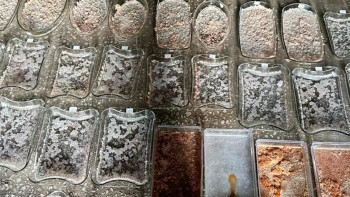 Фотография к новости: Алматыда есірткі өндіретін зертхана жойылды