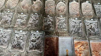 Алматыда есірткі өндіретін зертхана жойылды