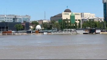 Фотография к новости: Жайықтың жағдайы қалай?