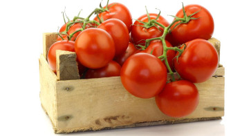 Фотография к новости: Залалданған қызанақтың әкелінуіне жол берілмеді