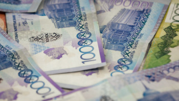 Фотография к новости: Алматы облысында 110 фермер тиісті субсидияларын алмаған