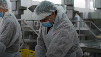 Фотография к новости: Абай облысында ет комбинаты салынуы мүмкін