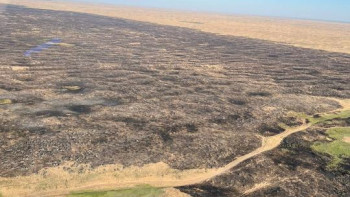 Фотография к новости: "Елді мекендерге қауіп жоқ". Меркідегі өрт оқшауланды