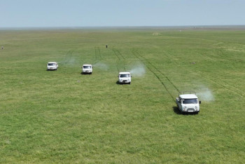 Фотография к новости: Түркістанда шегірткеге қарсы күрес күшейтілді