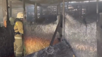 Фотография к новости: Қызылордада ойын-сауық орталығындағы өрт сөндірілді