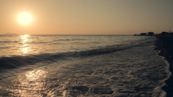 Фотография к новости: Министрлік судың "қара нарығы" үшін жауапкершілікті күшейтеді