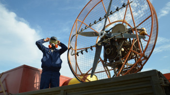 Фотография к новости: Ақтөбе облысы шегірткенің «шабуылына» дайын ба?