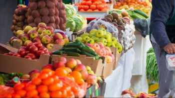 Фотография к новости: Елордада демалыс күндері ауыл шаруашылығы жәрмеңкесі өтеді