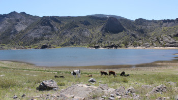Фотография к новости: Экологиялық таза тынығу. Экологпен сұхбат