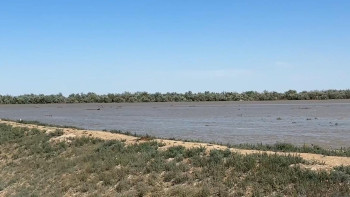 Фотография к новости: Жайықтағы су деңгейі тағы төмендеді