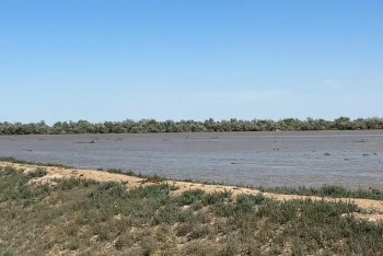 Фотография к новости: Жайықтағы су деңгейі тағы төмендеді