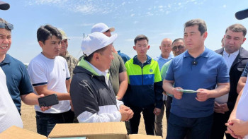 Фотография к новости: Сапаров: Шегірткеге қарсы іс-шараларға 2500-ден астам адам жұмылдырылды