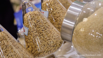 Фотография к новости: Ұлытау облысында азық-түліктің бағасын негізсіз көтеру анықталды