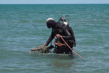 Фотография к новости: Таза Қазақстан. Жетісу облысының сүңгуірлері Балқаш көлін қоқыстан тазартты