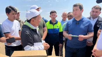 Фотография к новости: Шегірткеге қарсы күрес шараларына 2,5 мыңнан астам адам жұмылдырылды