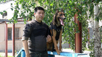 Фотография к новости: "Ит – адамның досы". Павлодарлық кинологтар 80 қылмыстың бетін ізін суытпай  ашты