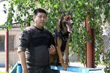 "Ит – адамның досы". Павлодарлық кинологтар 80 қылмыстың бетін ізін суытпай  ашты