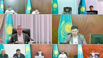 Фотография к новости: Түркістан облысында шегірткеден қорғау шаралары аяқталды