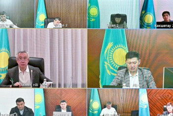 Түркістан облысында шегірткеден қорғау шаралары аяқталды