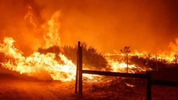 Фотография к новости: Калифорнияда орман өртіне байланысты адамдарды эвакуациялау басталды