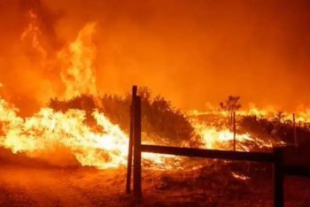 Фотография к новости: Калифорнияда орман өртіне байланысты адамдарды эвакуациялау басталды