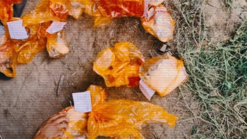 Фотография к новости: 4 өңірде полицейлер есірткі зертханаларының желісін жойды