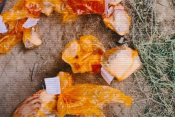 Фотография к новости: 4 өңірде полицейлер есірткі зертханаларының желісін жойды