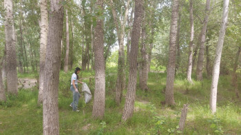 Фотография к новости: «Таза Қазақстан». Павлодарлықтар 40 тоннадан астам қоқыс шығарды