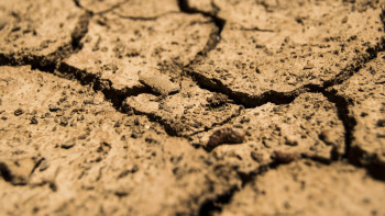 Фотография к новости: Мамандар алдағы 10 күнде құрғақшылық болатын 5 өңірді атады