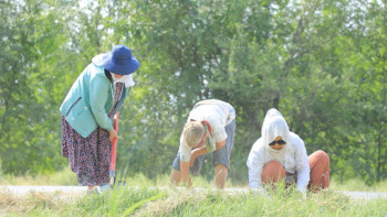Фотография к новости: Таза Қазақстан: Түркістан облысында "Үлгілі ауыл" жобасы жүзеге асуда