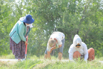 Фотография к новости: Таза Қазақстан: Түркістан облысында "Үлгілі ауыл" жобасы жүзеге асуда