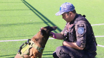 Фотография к новости: Төрт аяқты тәртіп сақшылары