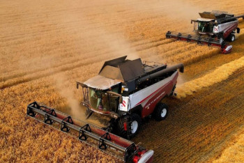 Қазақстандық фермерлер 114,7 млрд теңгеге мемлекеттік қолдау алды