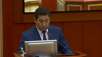 Фотография к новости: Тері мен жүн өңдеу саласында қандай проблемалар бар