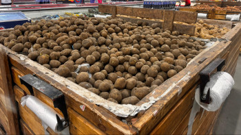 Фотография к новости: Жетісуда отандық тауардың көлемі қанша