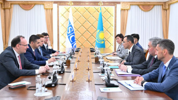 Фотография к новости: Сенат спикері ЕҚЫҰ төрағасымен кездесті