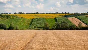 Фотография к новости: Жамбылда 73 мың гектар жер мемлекет меншігіне қайтарылды