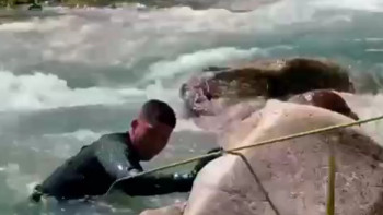 Фотография к новости: Алматы облысында мал жаюға шығып кеткен ер адам жоғалып кетті